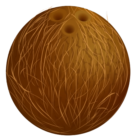 Coconut